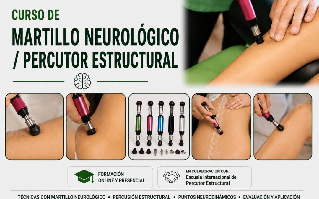 URSO DE MARTILLO NEUROLOGICO. Curso de percutor estructural, curso de martillo neurológico