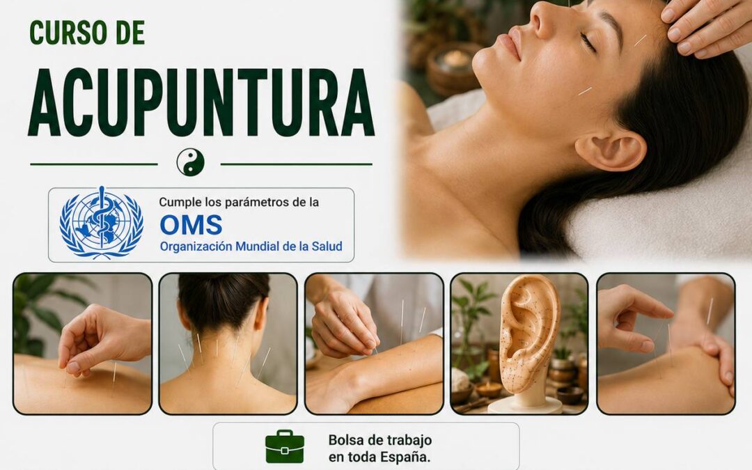 Curso Profesional de Acupuntura y Moxibustión Semipresencial en A Coruña, Pontevedra, Vigo y Santiago de Compostela, además de contar con una modalidad online que permite estudiar desde casa con total flexibilidad.