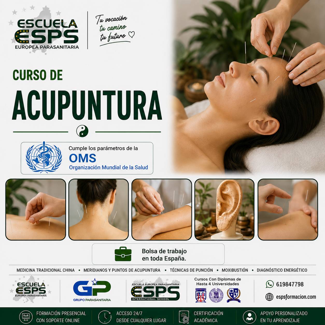 Curso de Acupuntura y Moxibustión | Cursos de Terapias Alternativas
