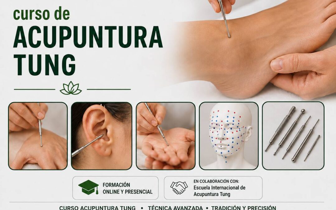 curso de acupuntura TUNG en Vigo, Coruña, Santiago, Pontevedra. Cursos en Galicia de Acupuntura TUNG en Ferrol, Lugo, Ourense