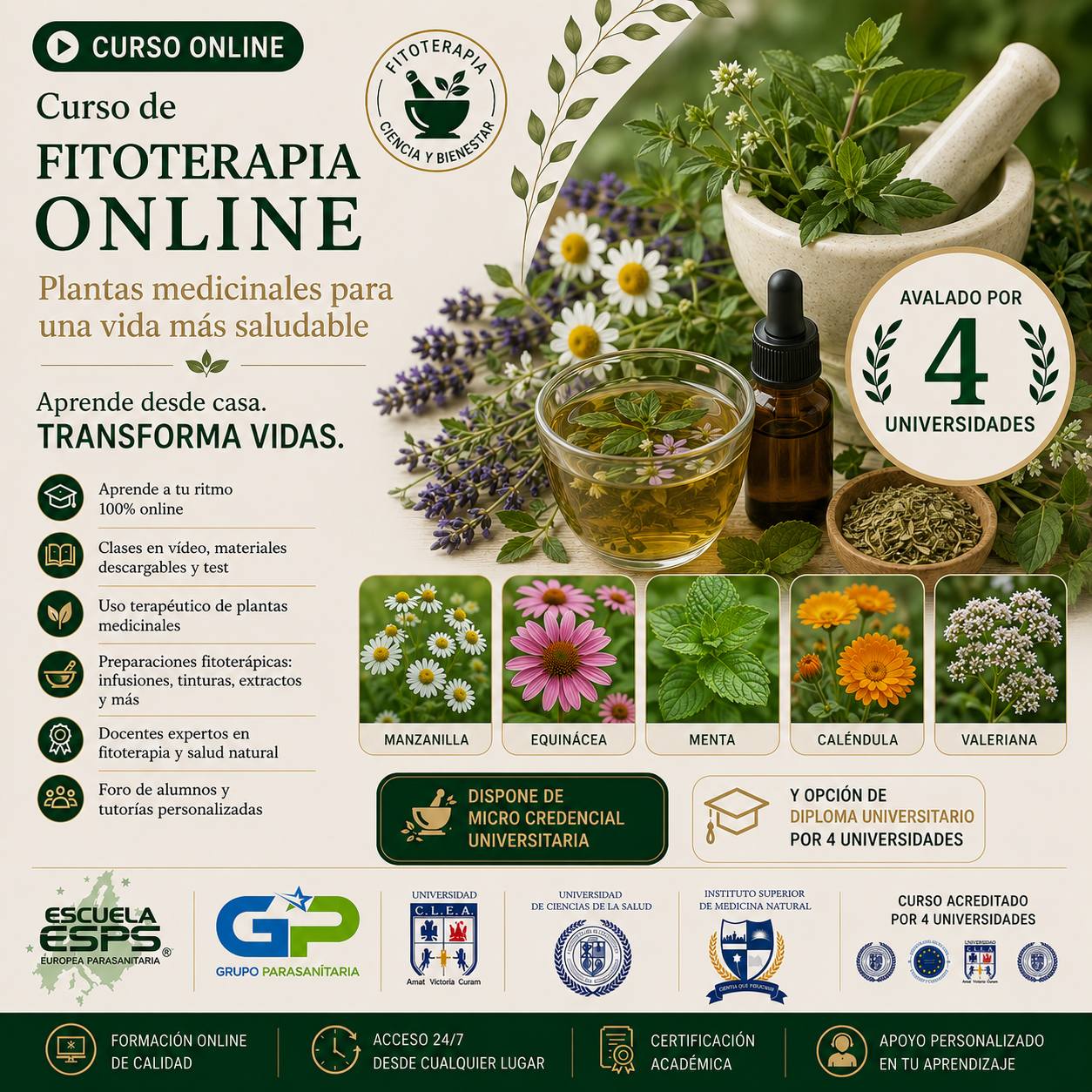 Curso de Fitoterapia Online - Cursos de Fitoterapia en Galicia